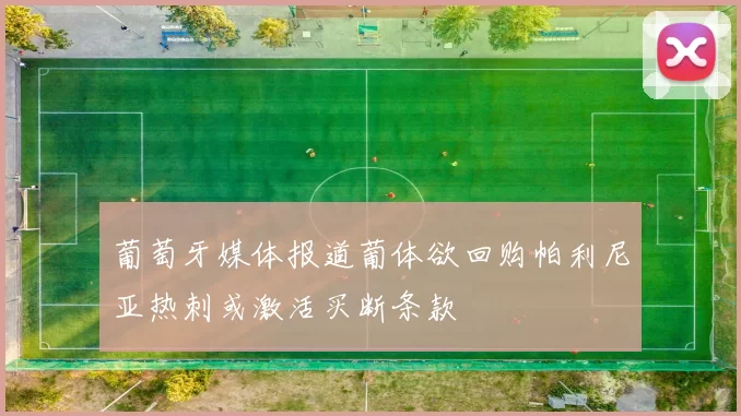 葡萄牙媒体报道葡体欲回购帕利尼亚热刺或激活买断条款